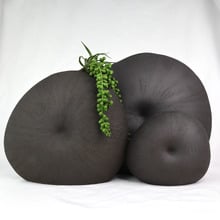 Black Mollusc Oceania Vase